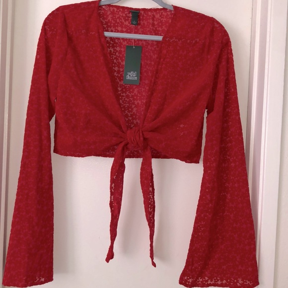 NWT Wild Fable Target Red Suede Floral Translucent Tie Crop Top Long Sleeves - S - Picture 1 of 12